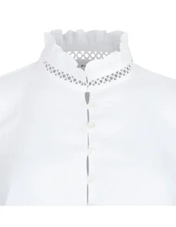 The Ruffle Collar top