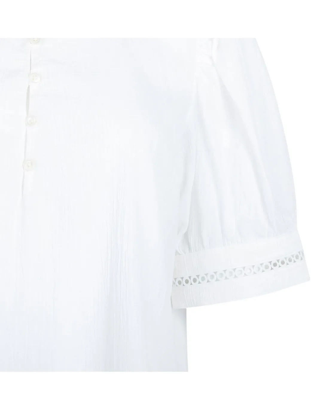 The Ruffle Collar top